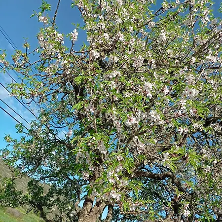 Casa Raios De Sol ブルガウ